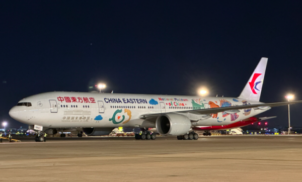 机身绘国宝，机腹装好意思食！东航通畅众人最长单程航路