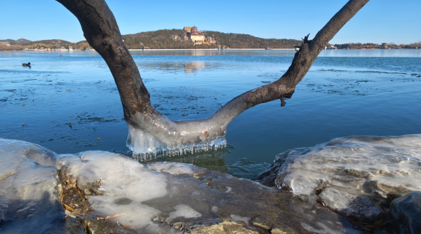 冬日颐和园：昆明湖冰裹树枝，宛如水晶雕琢